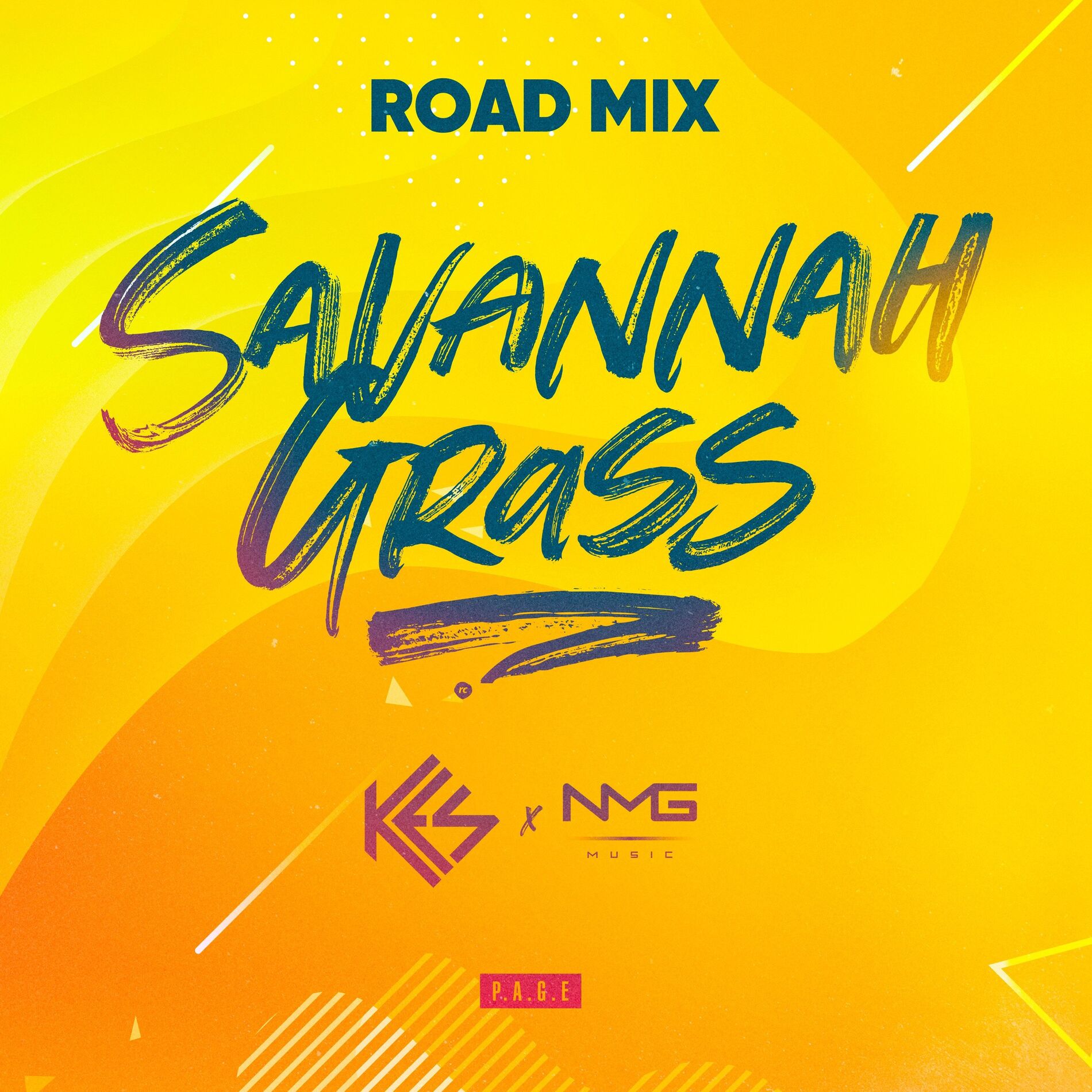 Album cover of Savannah Grass