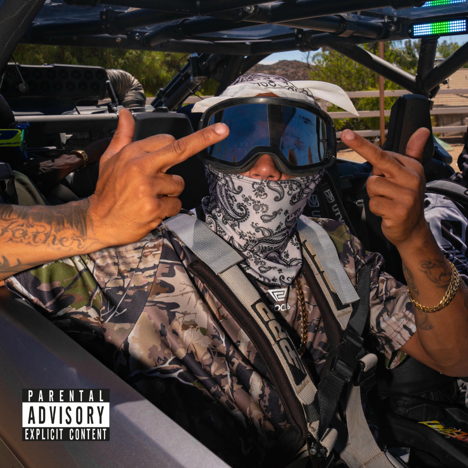 Album cover of Down or What