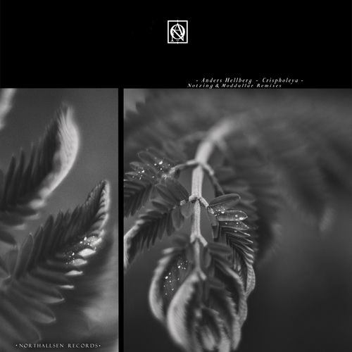Crispholeya - Notzing Version by Anders Hellberg - 127 BPM