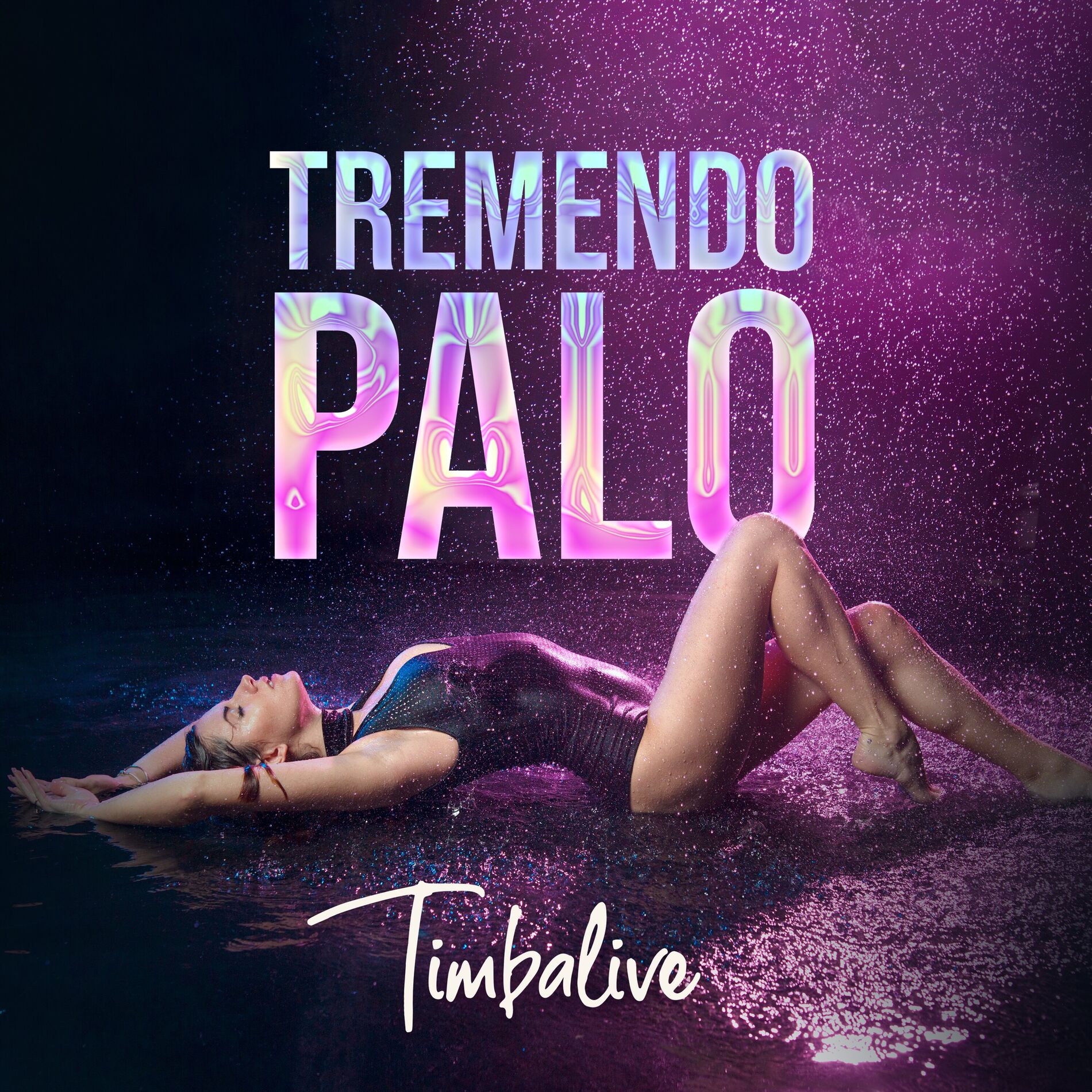 Album cover of Tremendo Palo