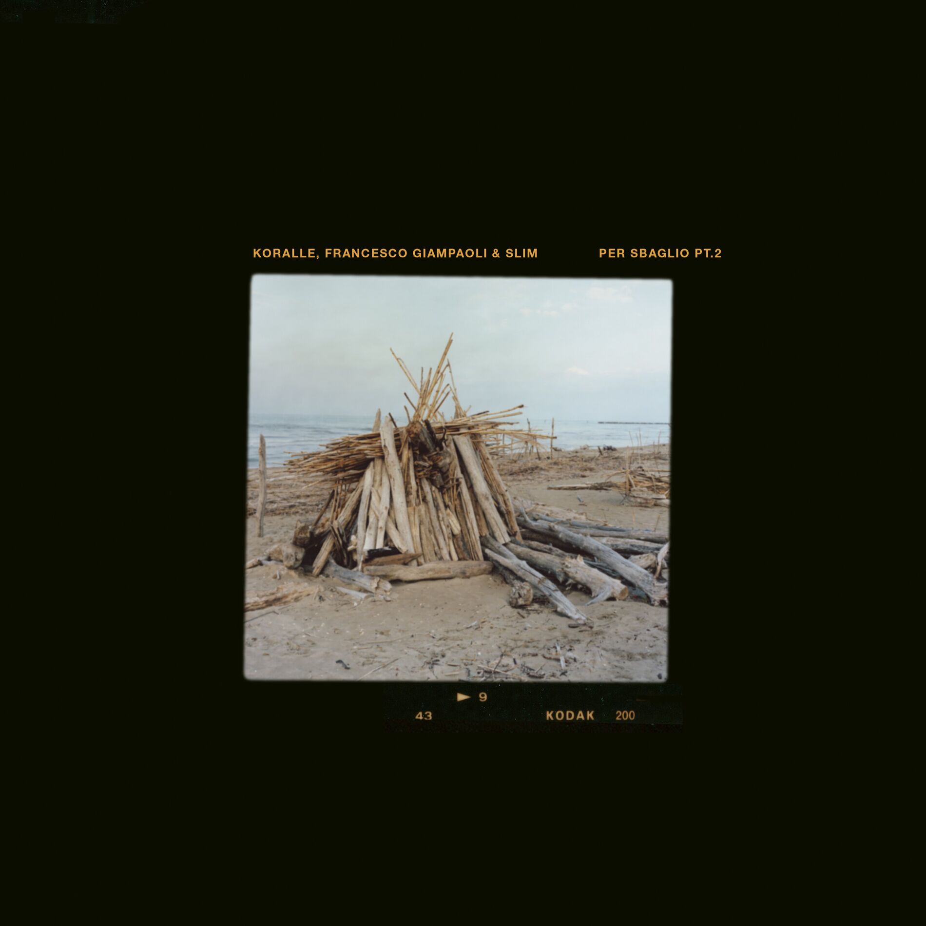 Album cover of Per Sbaglio Pt. 2