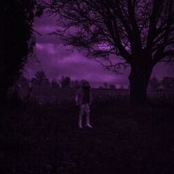 Cover of Stay Down (Slowed Down)