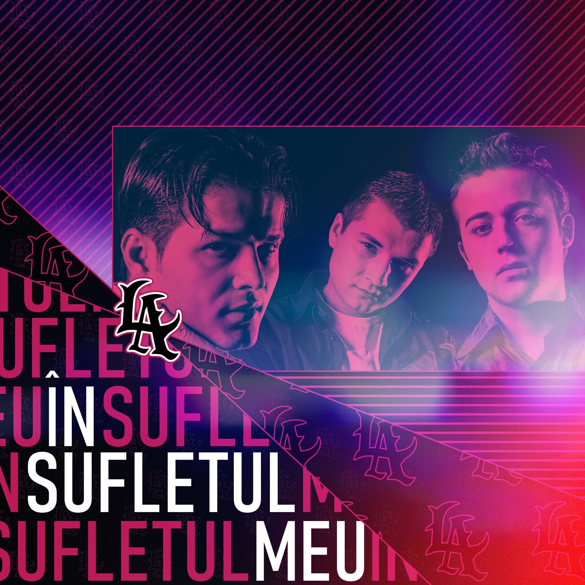 Album cover of In Sufletul Meu