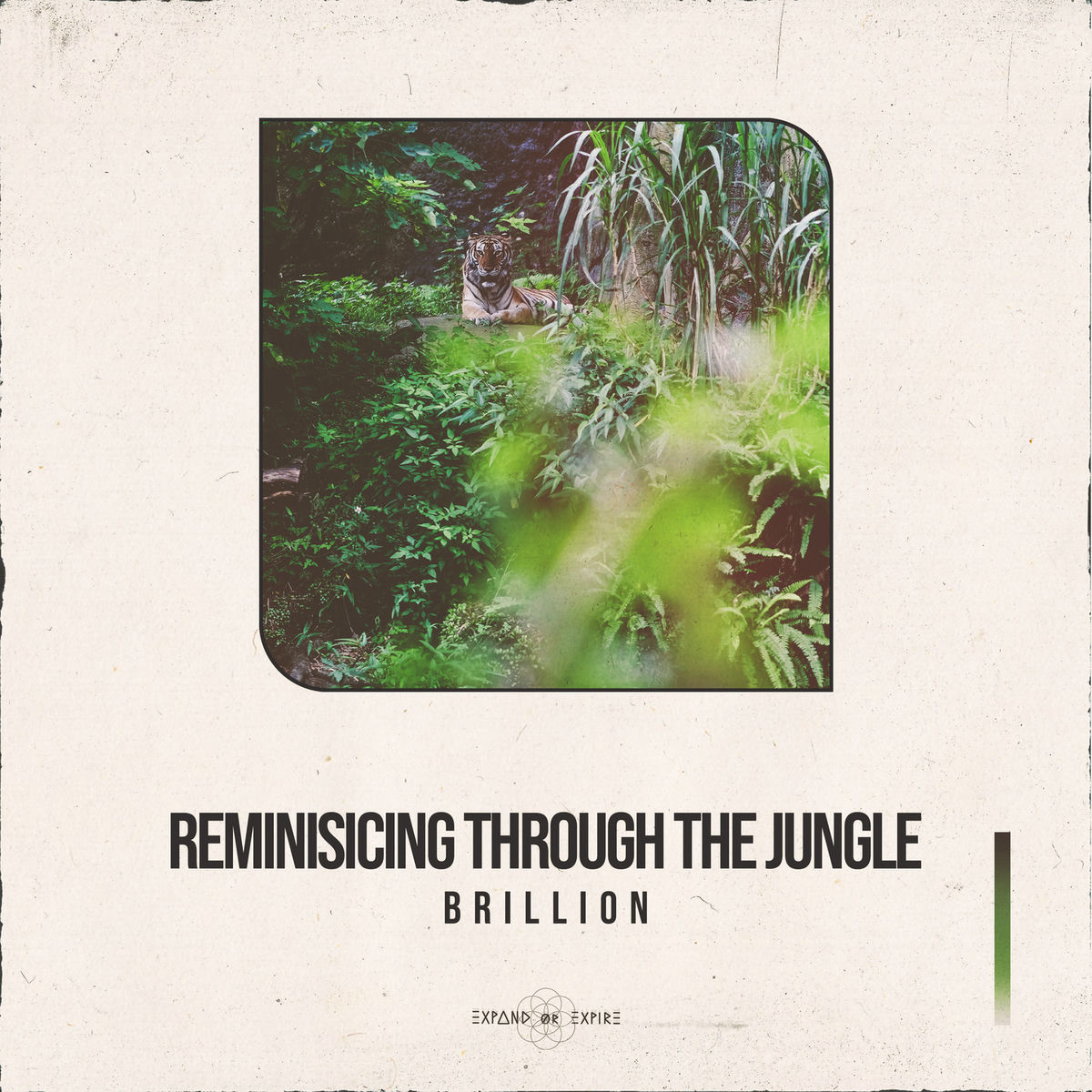 Album cover of Reminiscing Through the Jungle