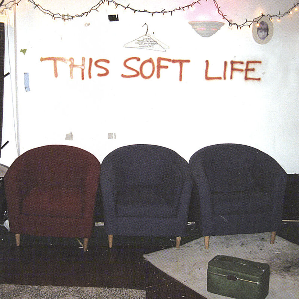Picture of This Soft Life