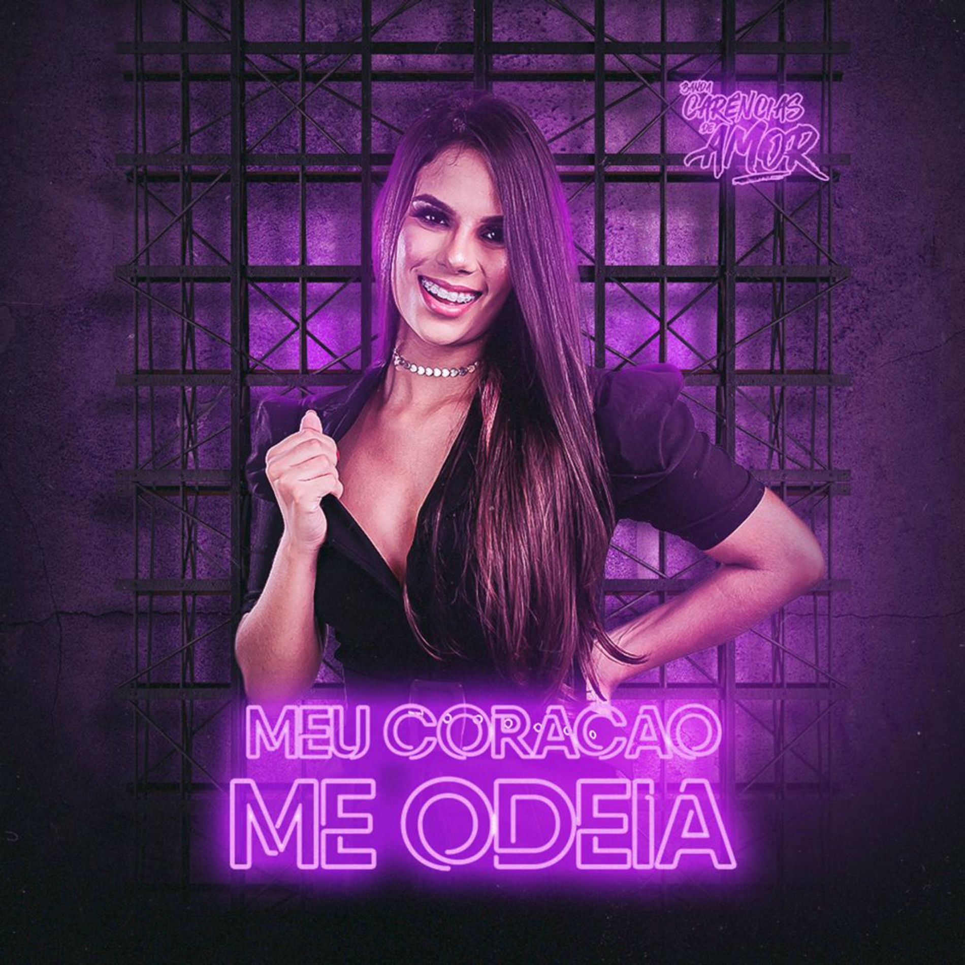 Album cover of Meu Coração Me Odeia