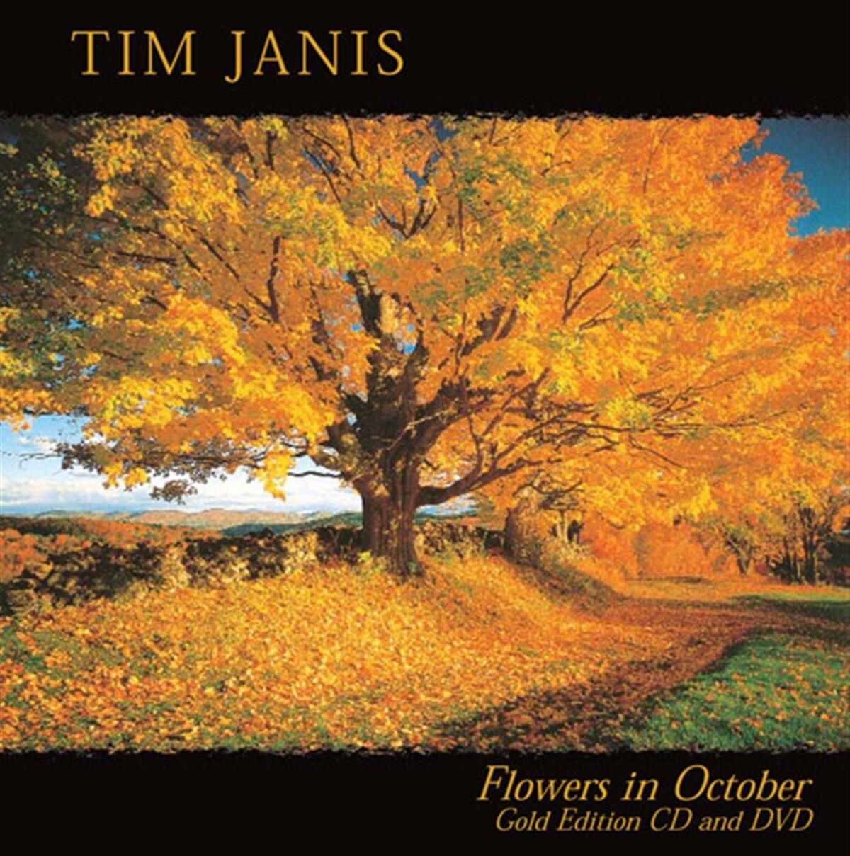 Album cover of In Autumn Gold