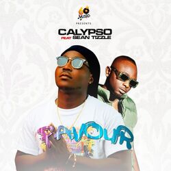 Cover of Favour
