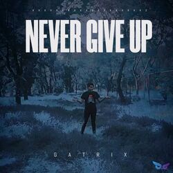 Cover of Never Give up (Extended Version)