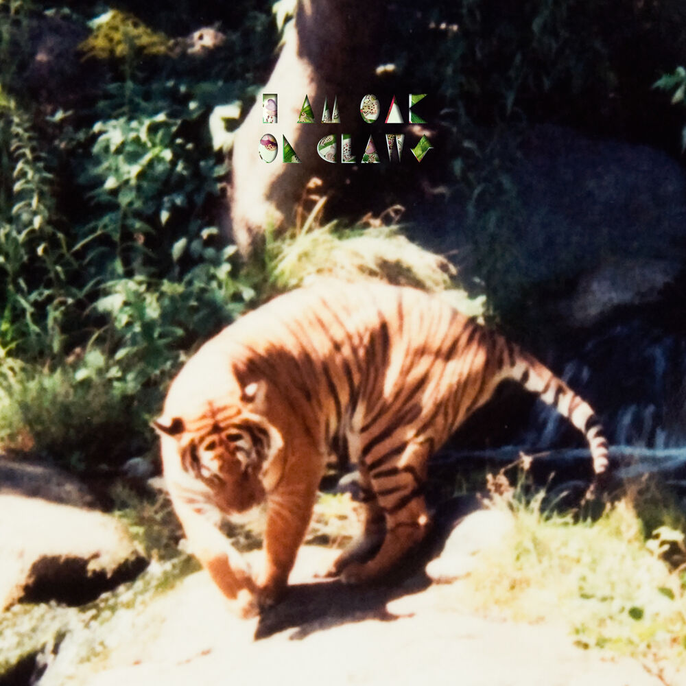 Picture of On Claws