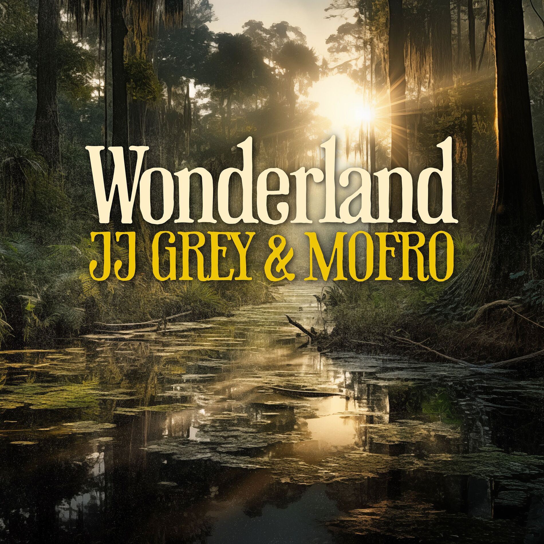 Album cover of Wonderland