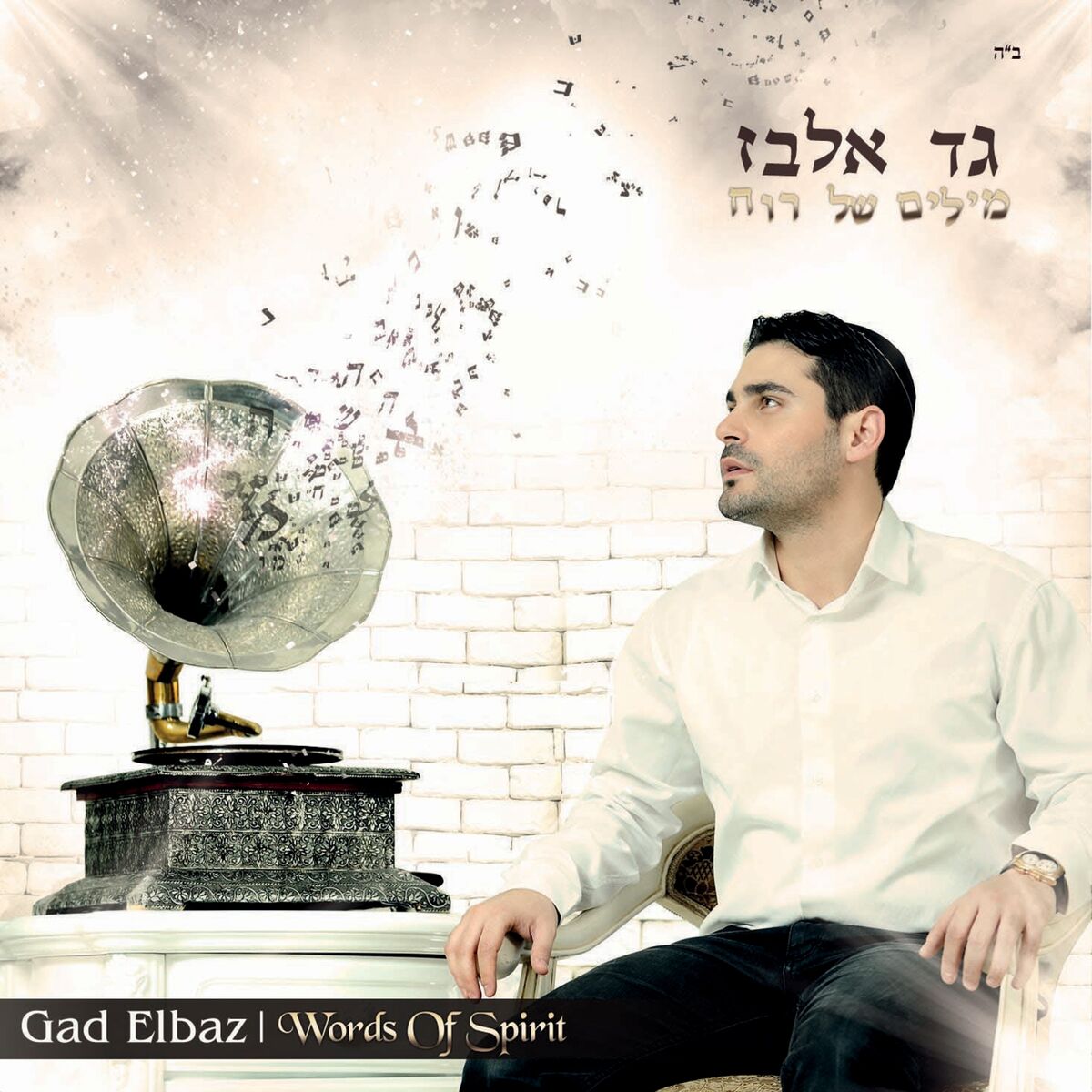 Album cover of Hashem Melech