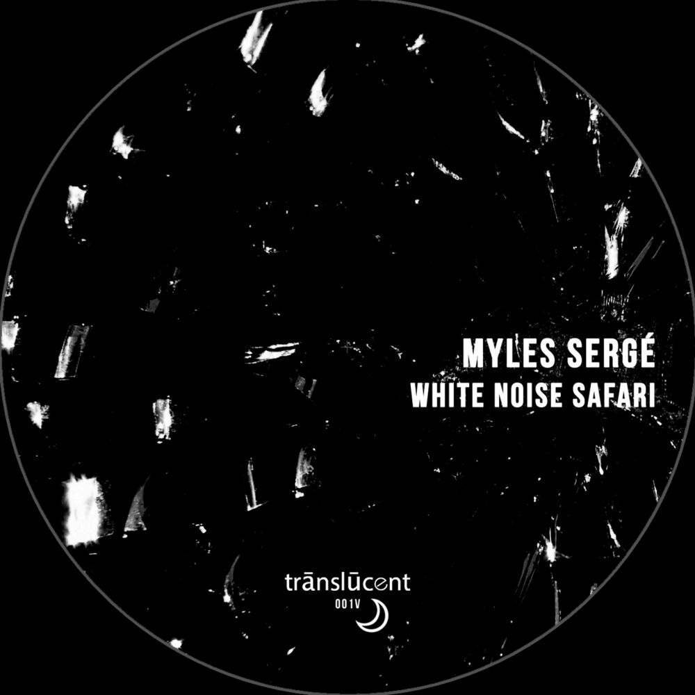 Picture of White Noise Safari