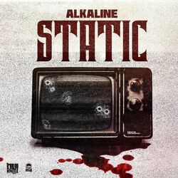Cover of Static