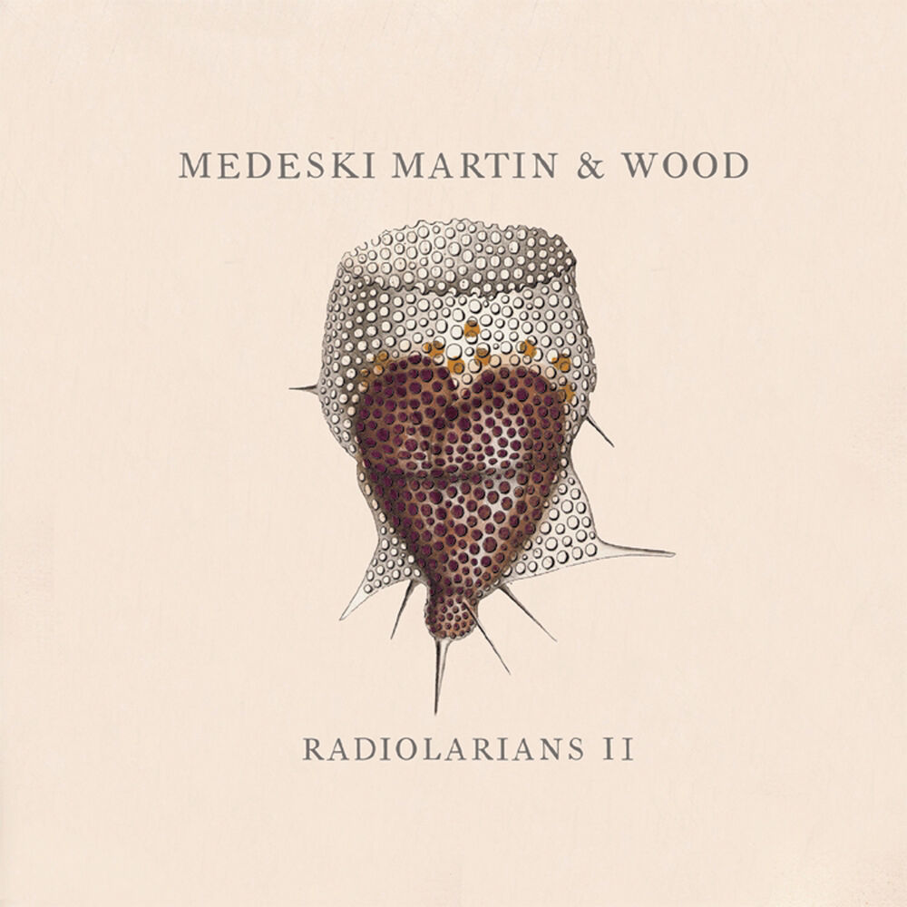 Picture of Radiolarians II