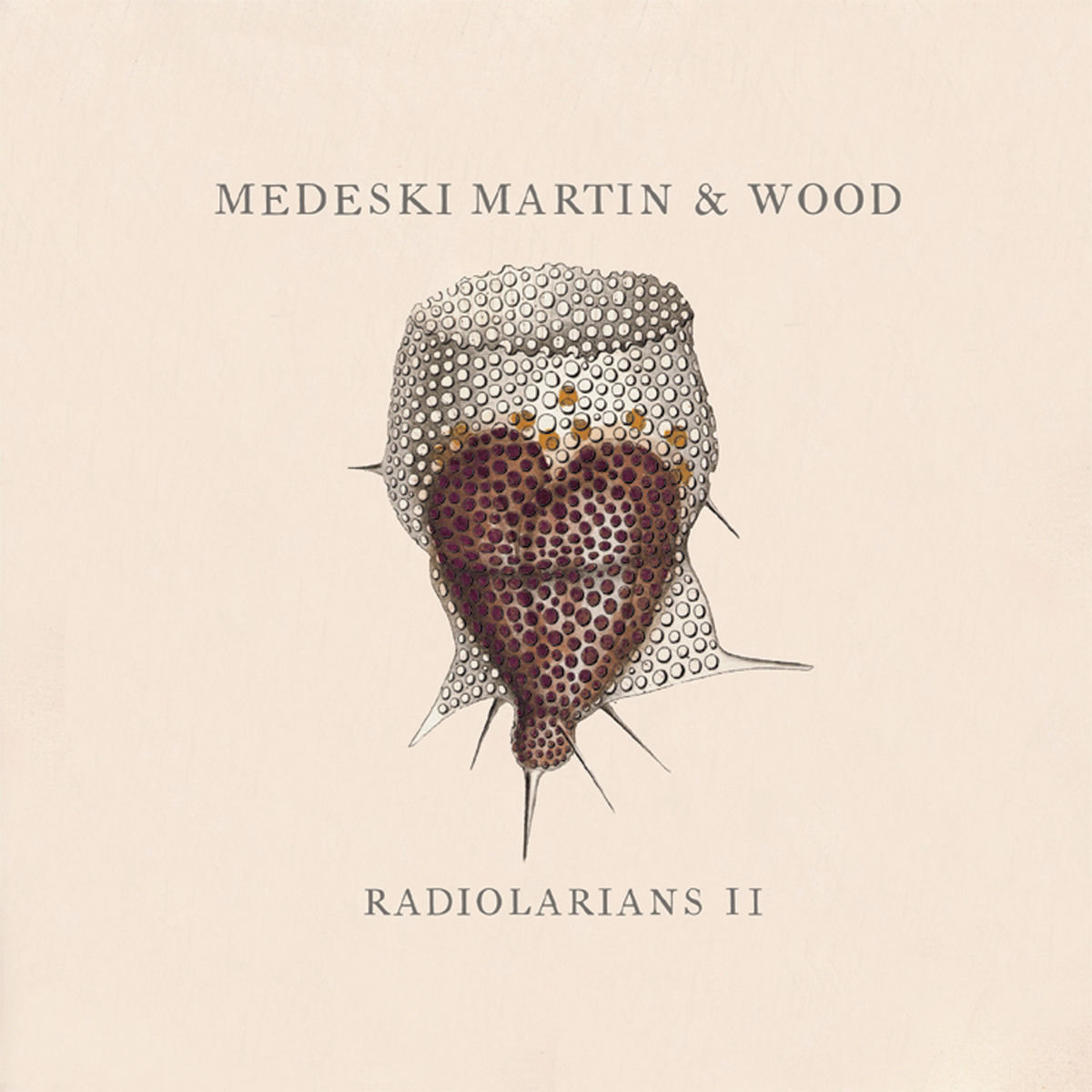Album cover of Radiolarians II