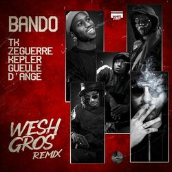 Cover of Wesh Gros (Remix)