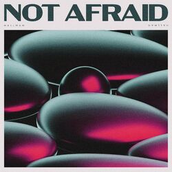 Cover of Not Afraid