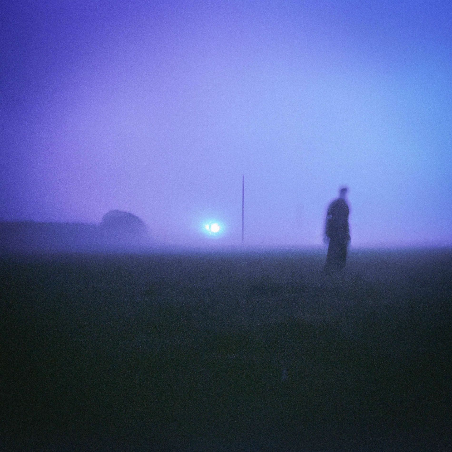 Album cover of quiet tonight