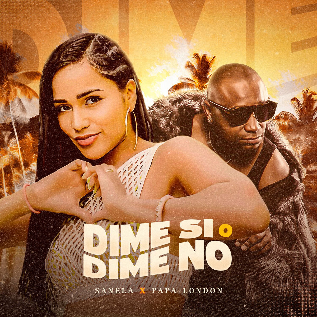 Album cover of Dime Si O Dime No