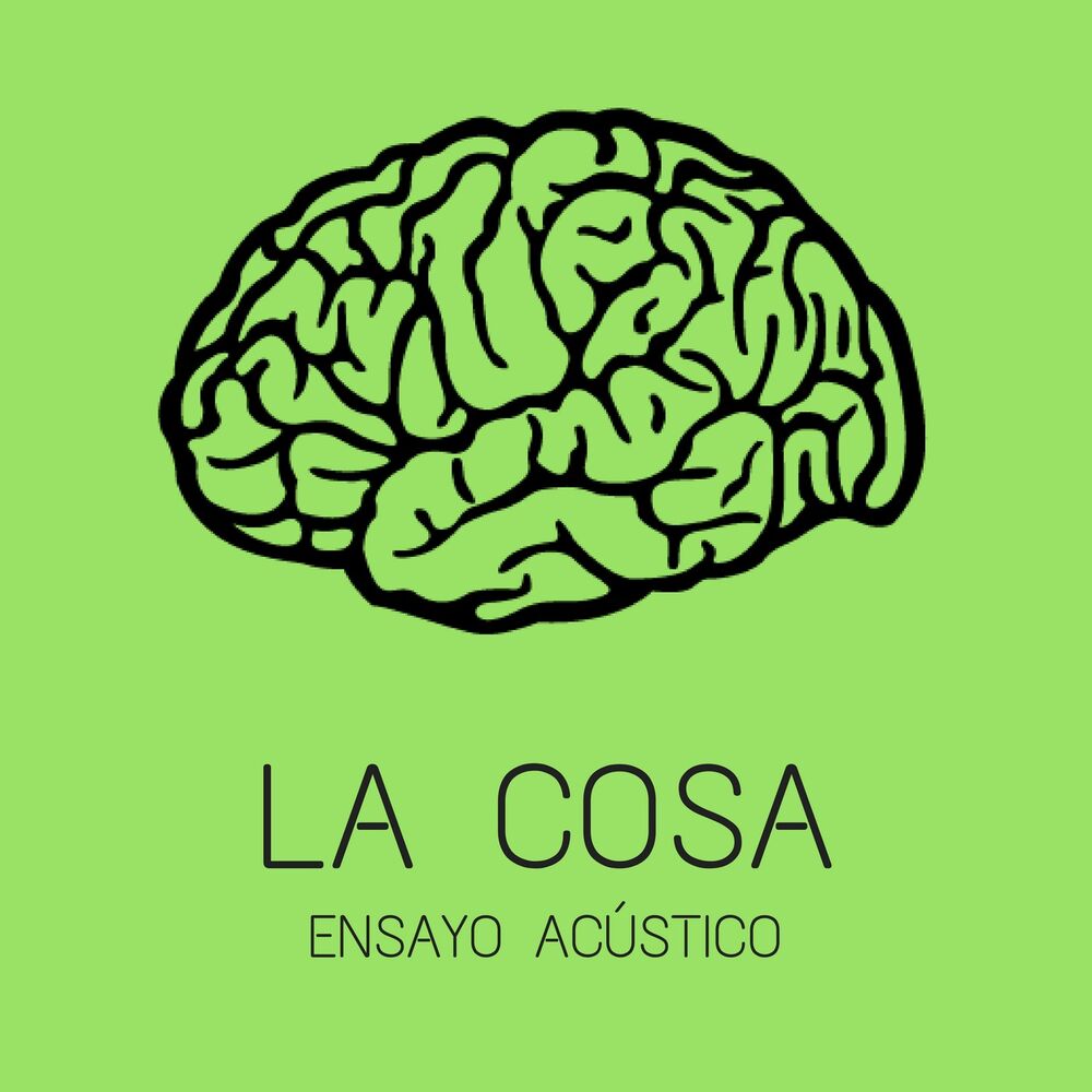 Picture of Ensayo Acústico