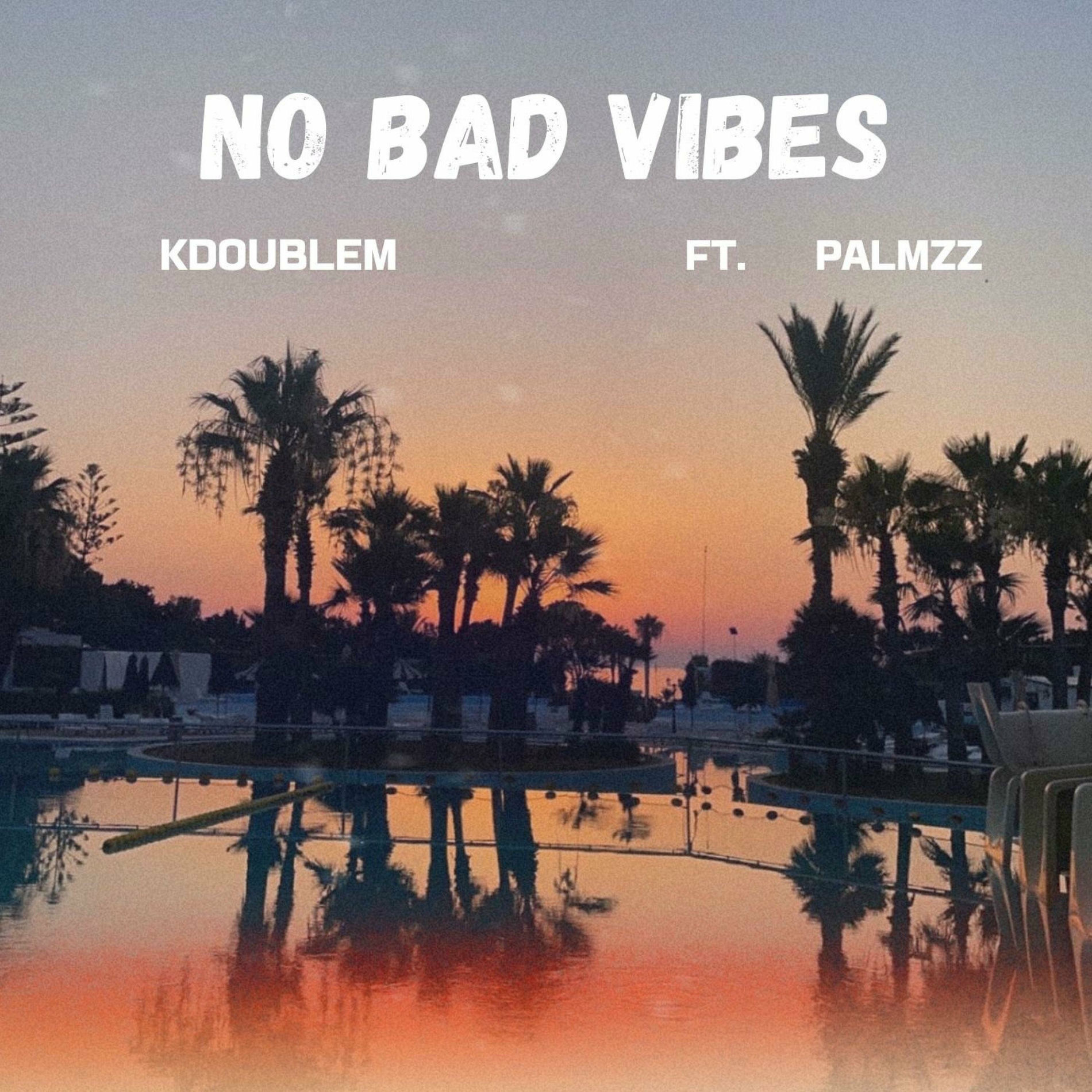 Album cover of No Bad Vibes (feat. Palmzz)