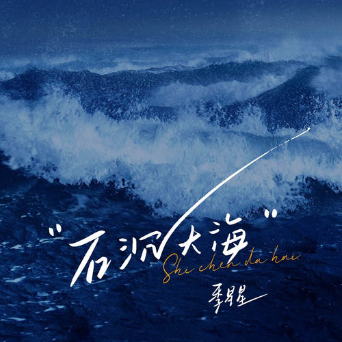 石沉大海（需要我用一生去猜）