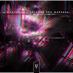 Cover of through the motions