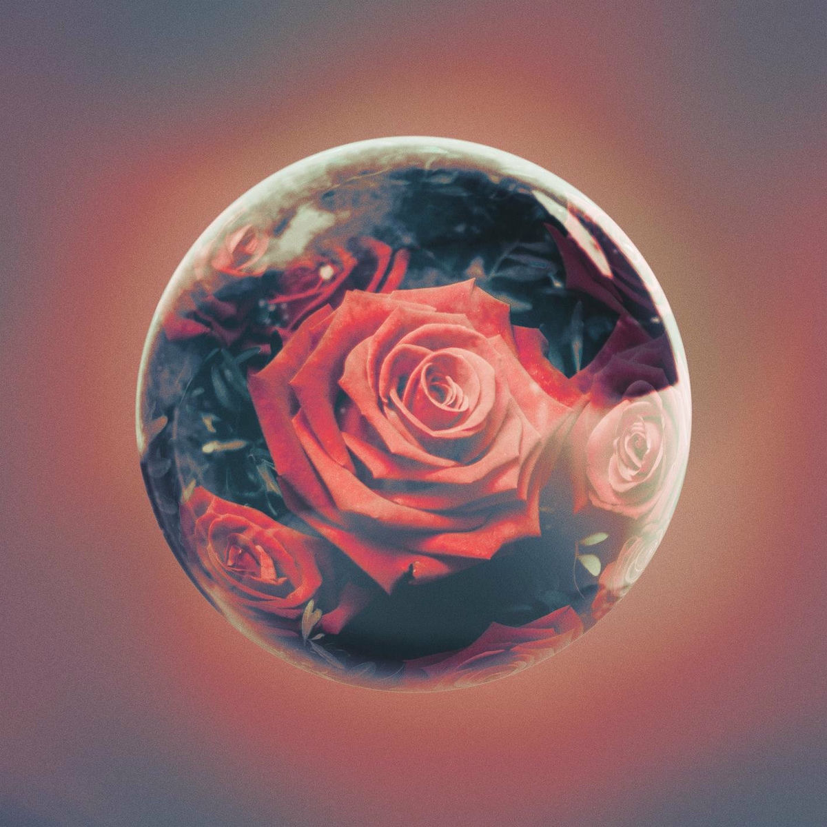 Album picture of Reflect