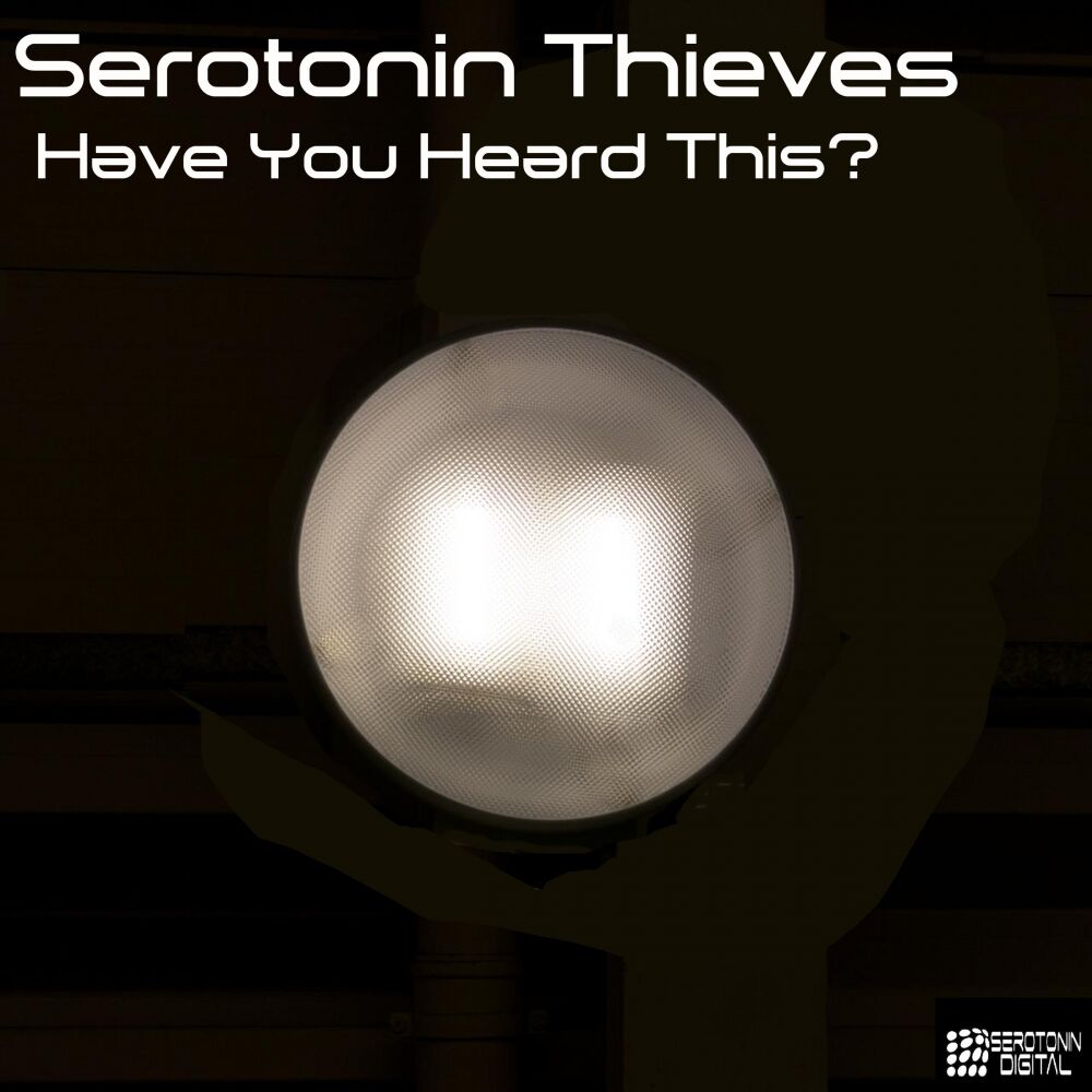 Picture of Have You Heard This?