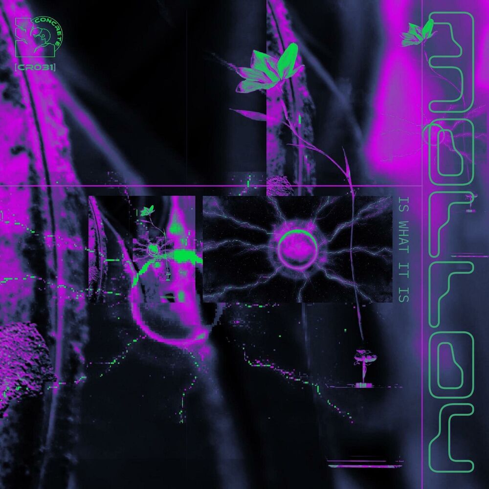 Picture of Is What It Is