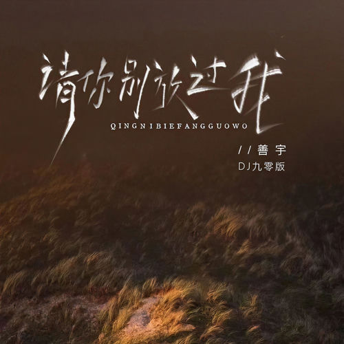 请你别放过我(DJ九零版)