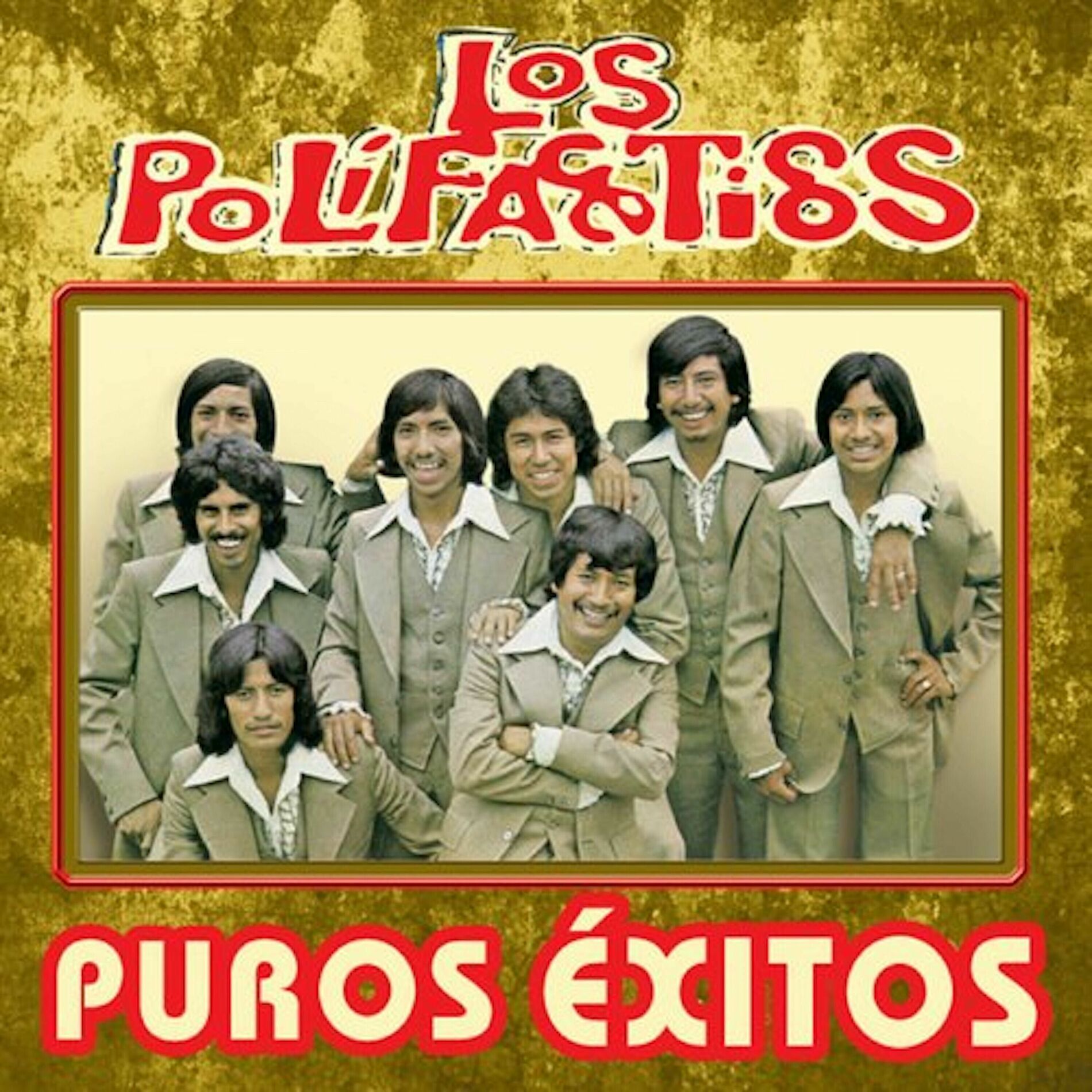 Album cover of Puros Exitos
