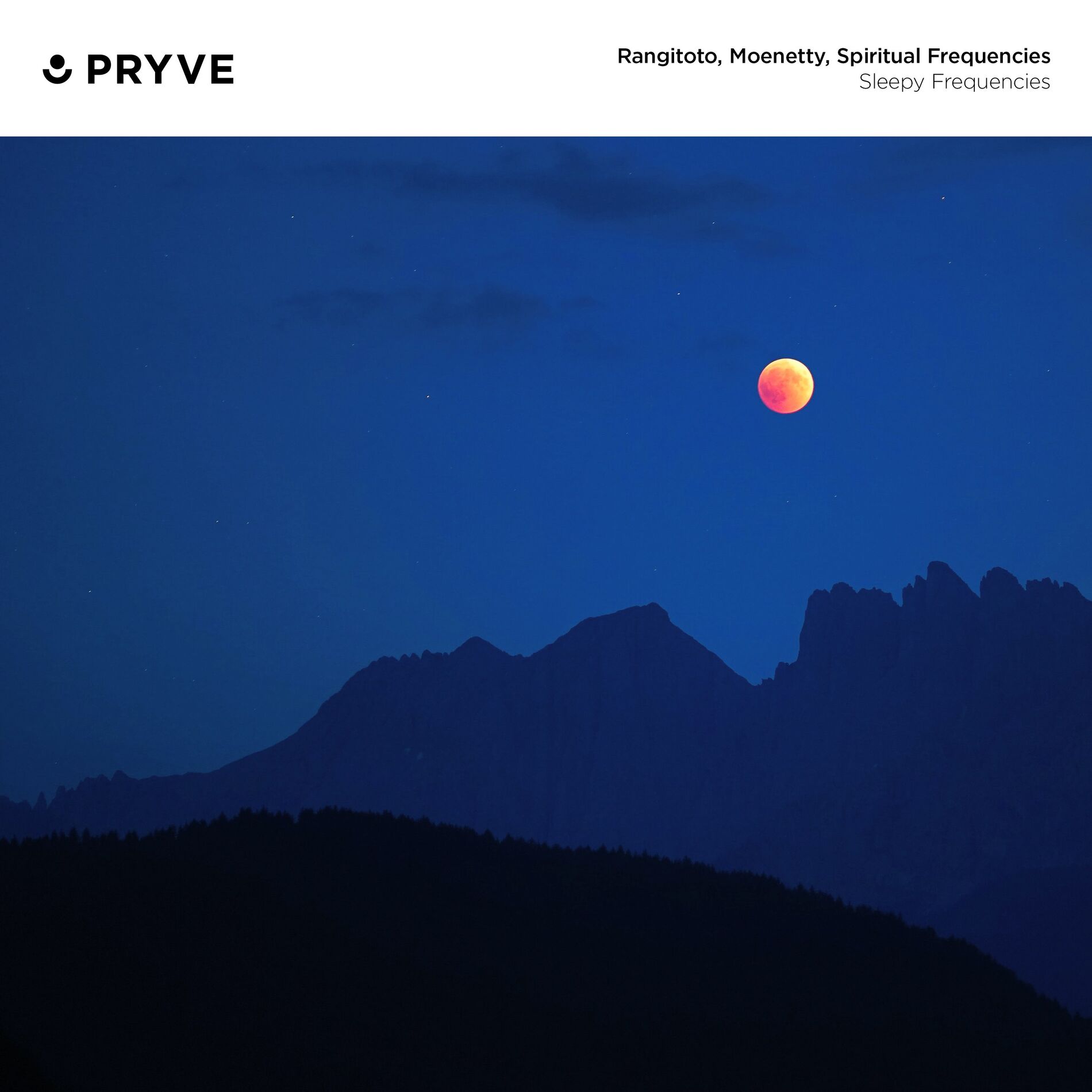 Album cover of Quiet Tunes