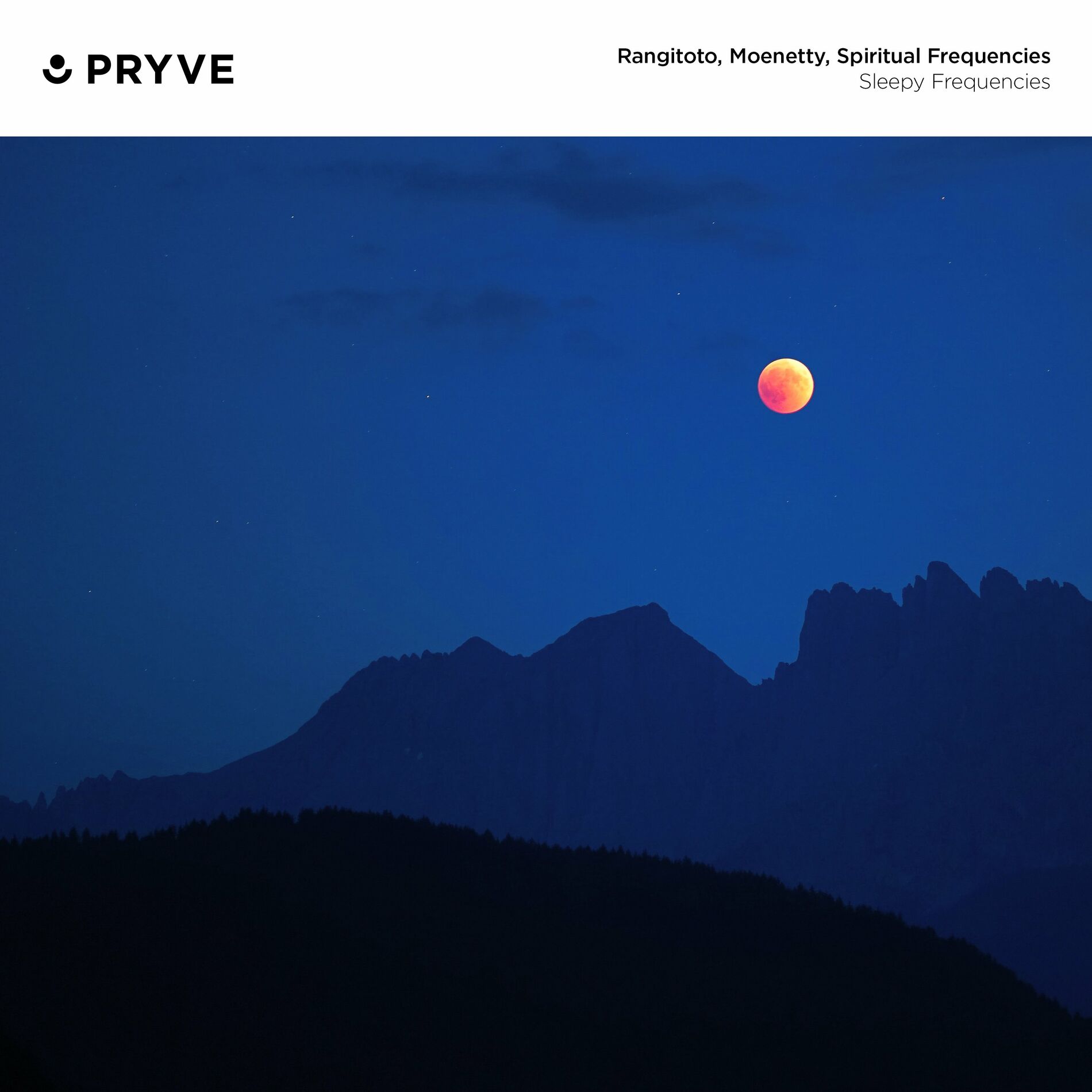 Album cover of Sleepy Frequencies
