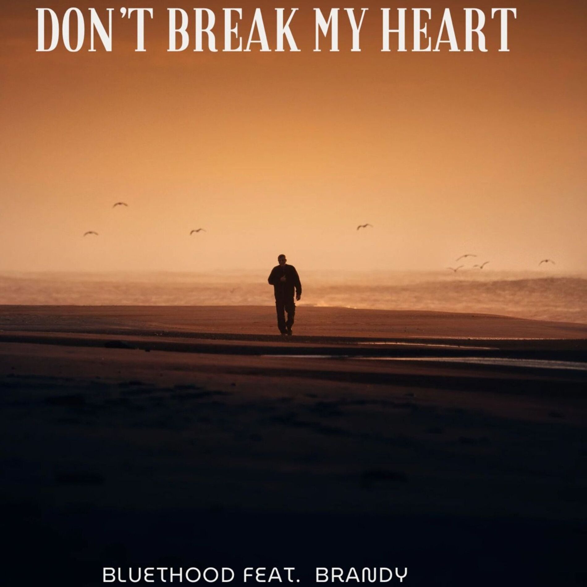 Album cover of Don't Break My Heart