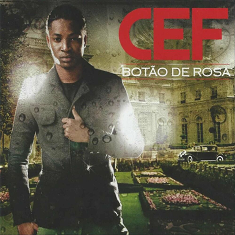 Picture of Botão de Rosa