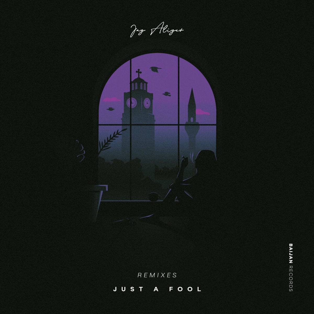 Album cover of Just a Fool (Remixes)