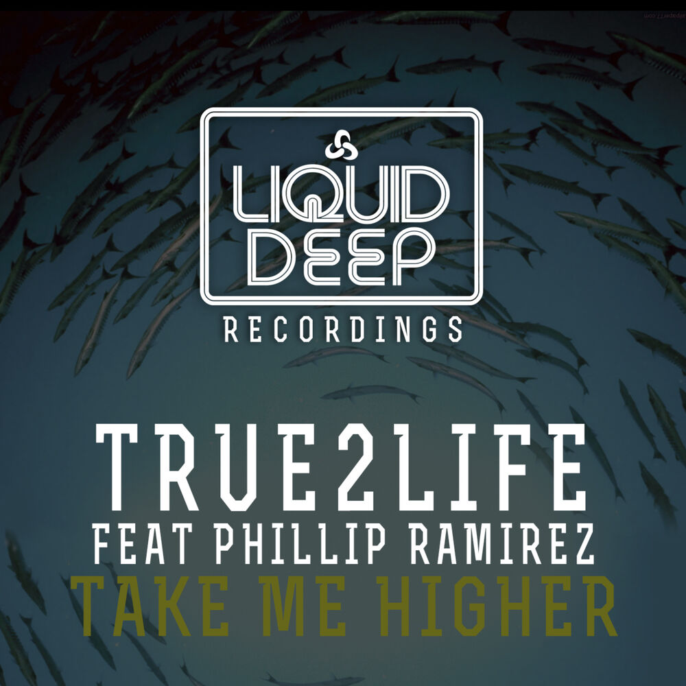 Picture of Take Me Higher