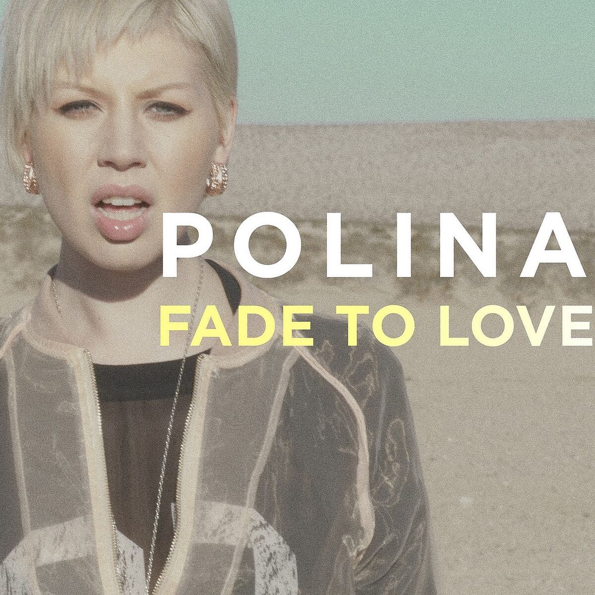 Album cover of Fade To Love