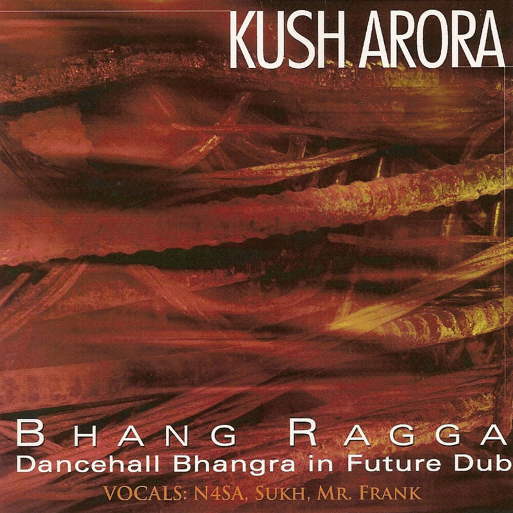 Picture of Bhang Ragga: Dancehall Bhangra in Future Dub