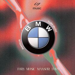 Cover of BMW