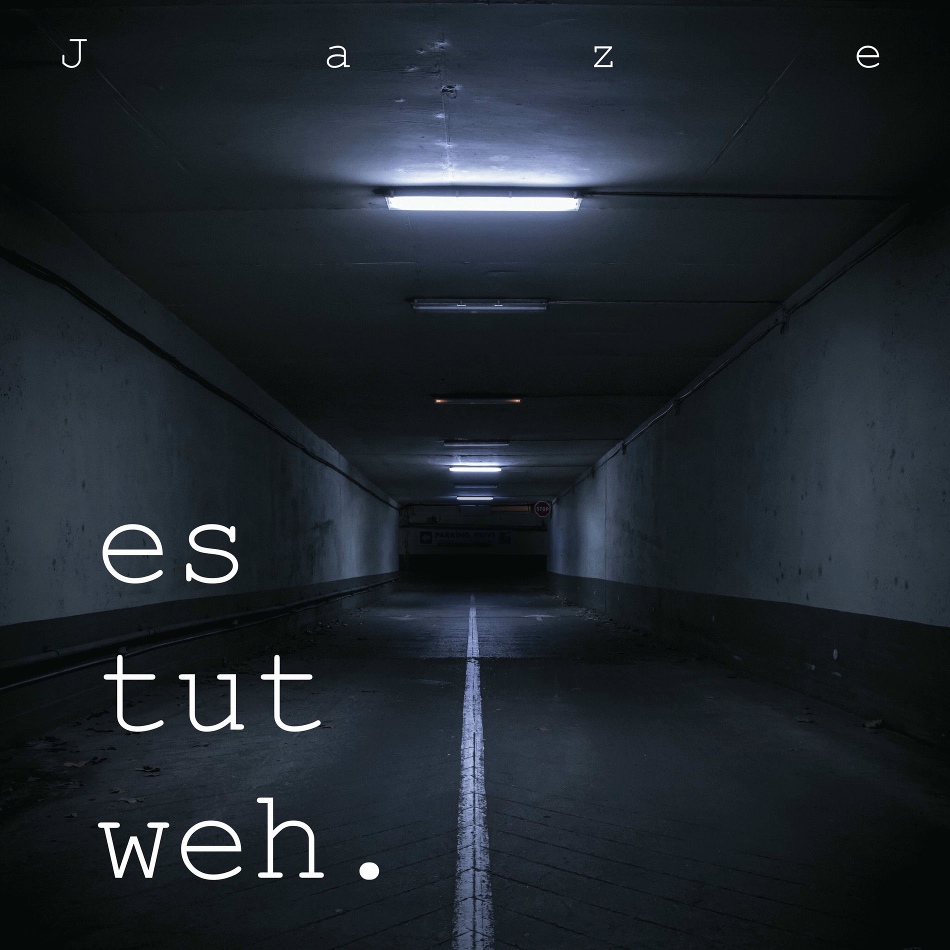 Album cover of es tut weh.