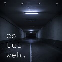 Cover of es tut weh.