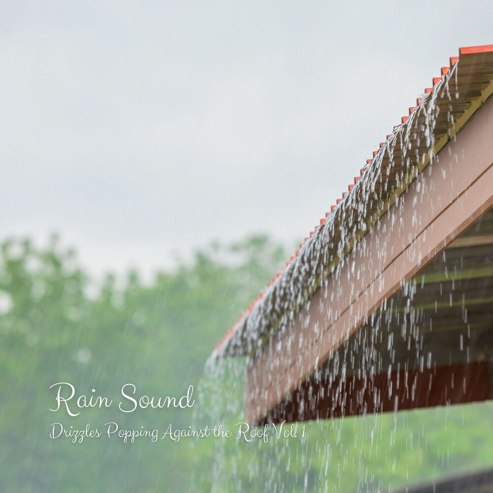 Picture of Rain Sound: Drizzles Popping Against the Roof Vol. 1