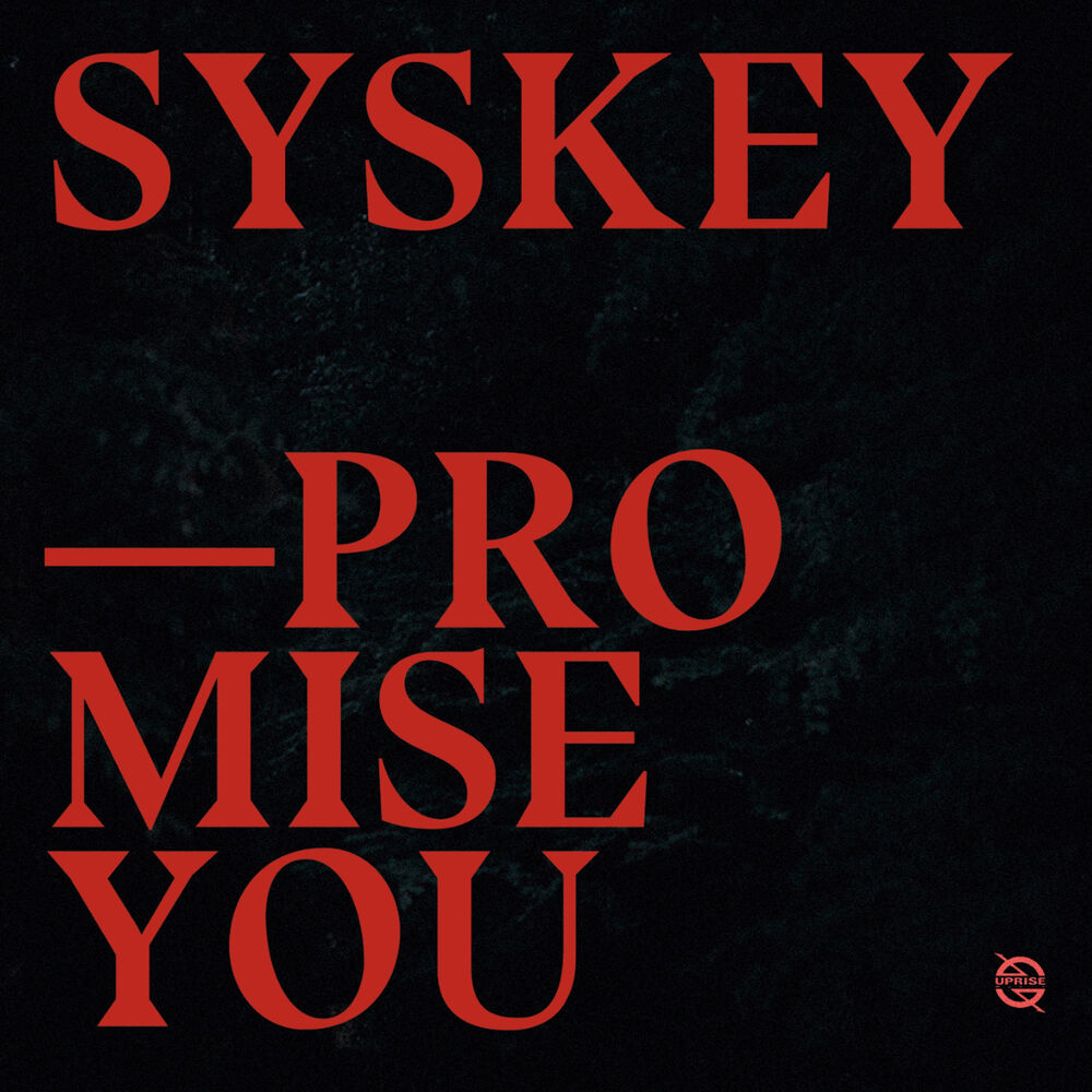 Picture of Promise You