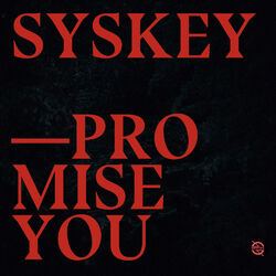 Cover of Promise You