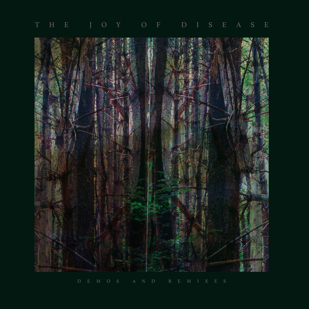 Picture of The Joy If Disease (Demos and Remixes)