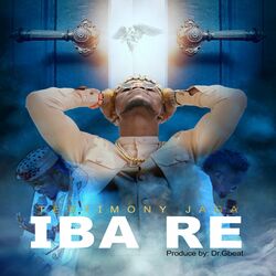 Cover of IBA RE