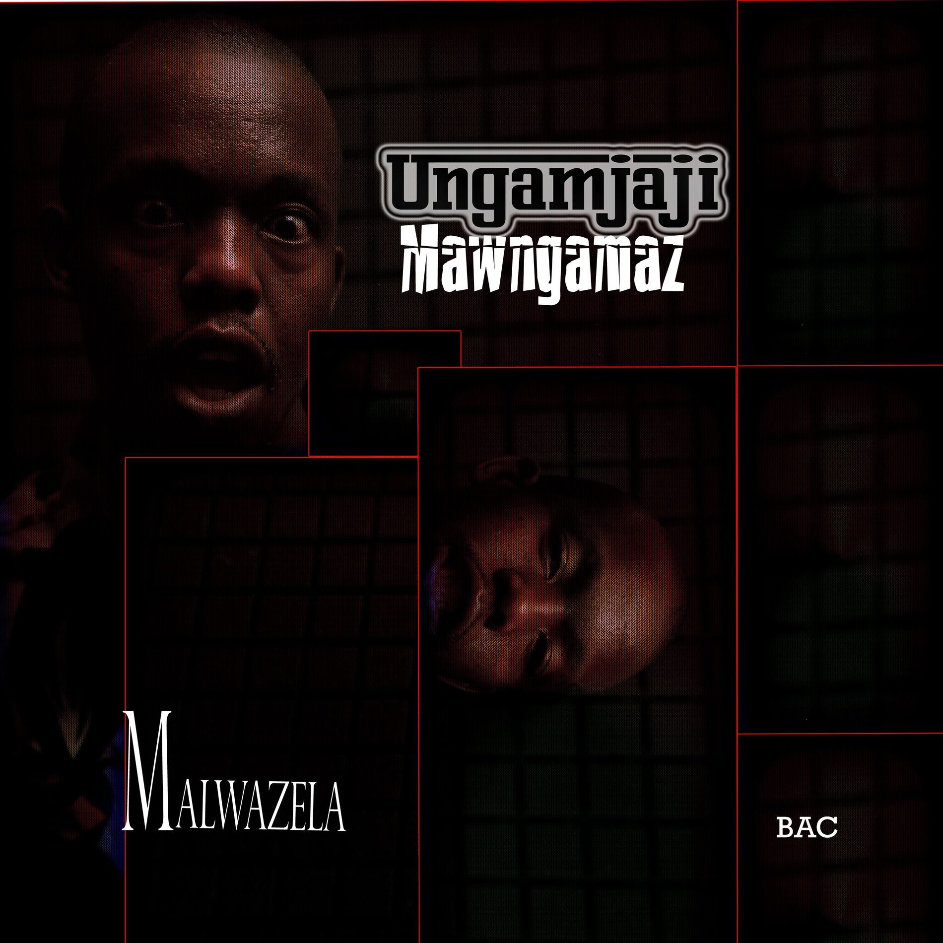 Album cover of Ungamjaji Mawngamaz